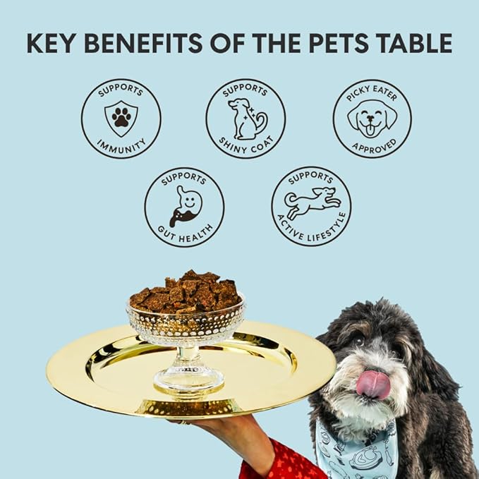 The Pets Table - Air Dried Dog Food Sampler 4 Pack - 16 Ounce Bags of Each: Beef & Berries, Chicken & Sweet Potato, Salmon & Whitefish, and Lamb & Beef - 16 Ounce (Pack of 4)
