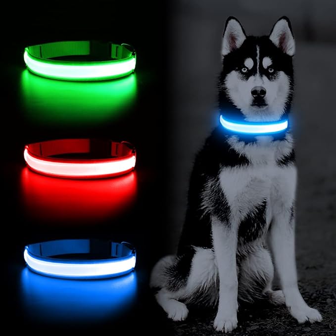 YFbrite Ultra Light Adjustable LED Dog Collar, Light up Dog Collars Rechargeable Glowing in The Dark Collars Visiblity & Safety for Small, Medium, Large Dogs (Blue, Medium)