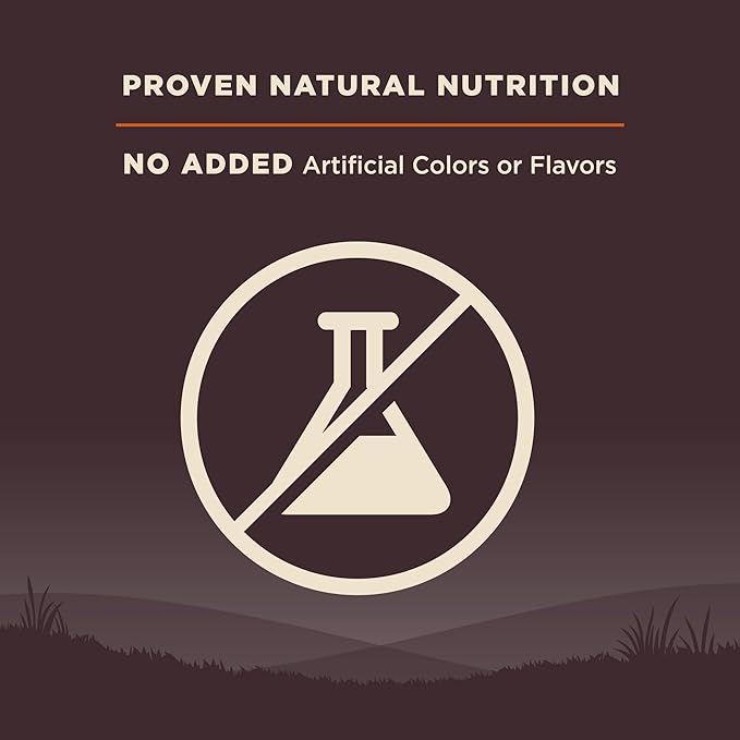 Wellness Natural Pet Food Wellness CORE Wholesome Grains Original Recipe, 24 Pound Bag