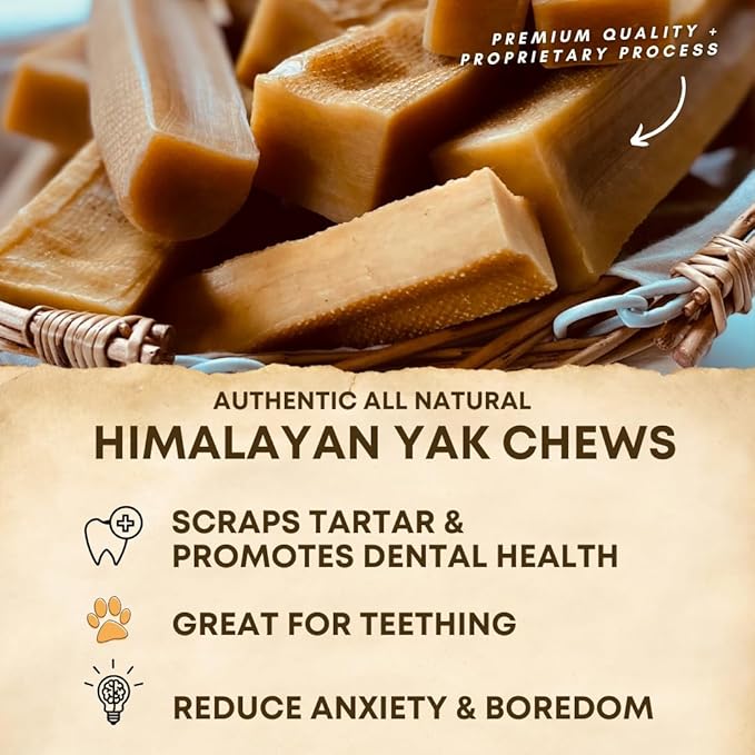 Yak Cheese Himalayan Dog Chews – Long-Lasting Natural Chews for Aggressive Chewers – 2-Ingredient, High Protein, Odorless, Dental Health Treats for Dogs (Large, 12 Pack)