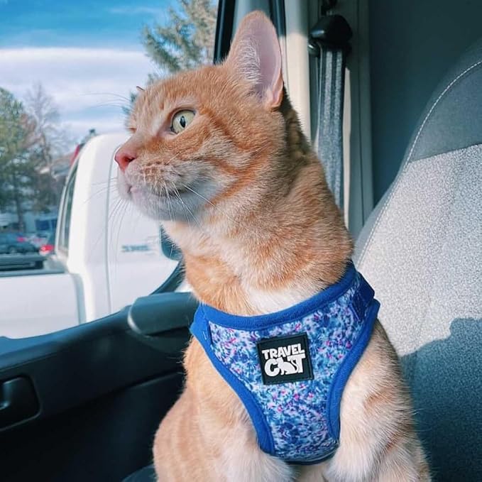Travel Cat Harness and Leash Set - Adjustable Fit Mesh Cat Harness and Reflective Strap - Comfort Walking Vest for Kitten for Outdoor Walking, Hiking (Extra Small, Groovy)