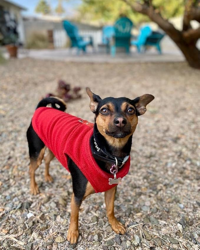 Gooby - Fleece Vest, Small Dog Pullover Fleece Jacket with Leash Ring, Red, X-Small