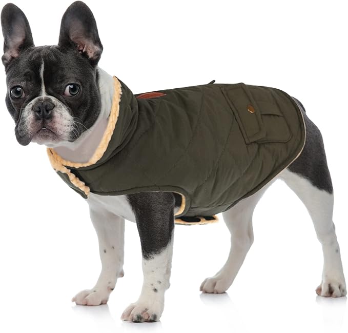 Queenmore Warm Dog Coat, Cold Weather Puffer Dog Coat, Quilting Winter Dog Jacket Ultra Thick Plush Lining with Storage Pockets (Green, Small)