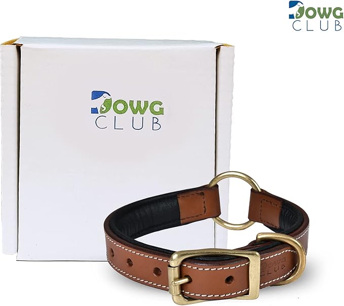 | Genuine Leather Adventure Dog Collar | Full Grain, Heavy Duty | With inner Cushioned padding | Best for Medium, Large & XL Dogs (Large (Fit Neck Size 18.5"-22.5"), Brown With Center O Ring)