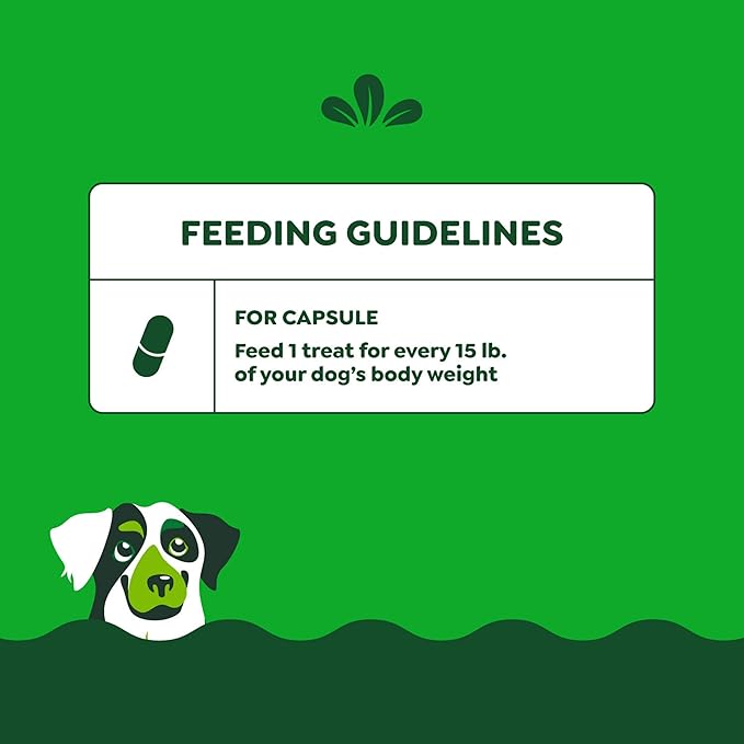 Greenies Pill Pockets for Dogs Large Size, Soft Dog Treats, with Real Peanut Butter, 7.9 oz. Pouch (30 Treats)
