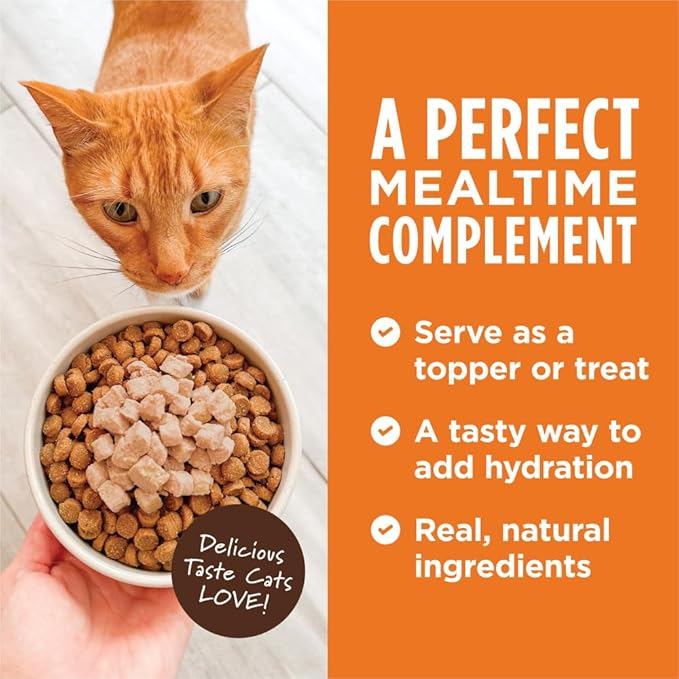 Instinct Healthy Cravings Natural Wet Cat Food Topper, Grain Free Recipe - Real Salmon, 3 oz. Pouches (Pack of 24)