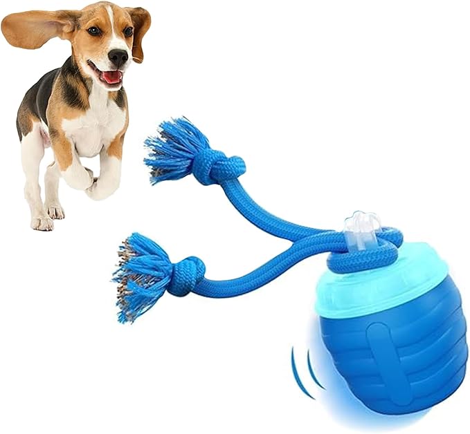 Interactive Dog Ball for Medium/Large Dogs, Automatic Moving Dogs Toy Wicked Ball for Boredom & Training, Play Music, USB Rechargeable(Blue)