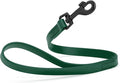 Dogline Biothane Waterproof Dog Leash Strong Coated Nylon Webbing with Black Hardware Odor-Proof Easy to Clean High Performance for Small or Large Dogs Made in USA 2 ft Lead, Hunter Green