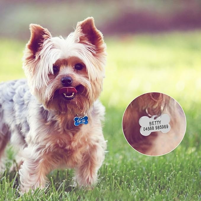 Personalized Dog/Cat Cute Paw Pet ID Tag for Pet Collar or Key Chain - cat Name tag, Personalized cat id tag, Kitten Name tag, Kitten id tag (Bone-Shaped-Small: Purple)