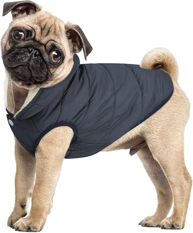 ASENKU Dog Winter Coat - Waterproof Windproof Dog Jacket, Warm Snowproof Doggie Puffer Vest for Cold Weather, Lightweight Snow Coats for Small Medium Large Dogs (2XL, Blue)