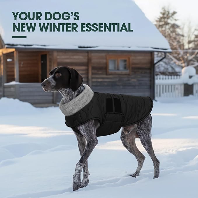 Kuoser XL Heavy Duty Dog Coat | -15°C Windproof Jacket for Husky - Anti-Chafe Fleece Neck
