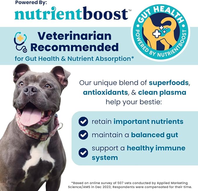 Solid Gold Healthy Dog Treats - Functional Chicken Dog Treat w/Glucosamine Chondroitin for Mobility & Joint Support - Training Treats for Dogs w/Salmon Oil & Superfoods - All Ages & Sizes - 5.2oz