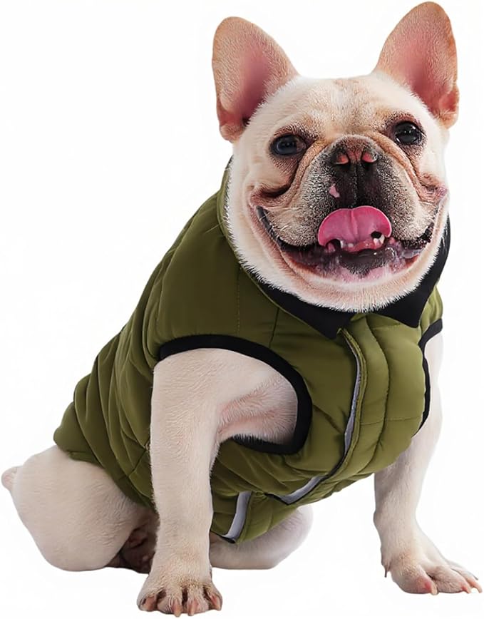 PetWarm Reversible Dog Winter Coat, Windproof Dog Puffer Vest, Soft Vest for Dogs with Hook-and-Loop Strap for Easy Dressing, Waterproof Coat for Dogs with Adjustable Fit, Green, S