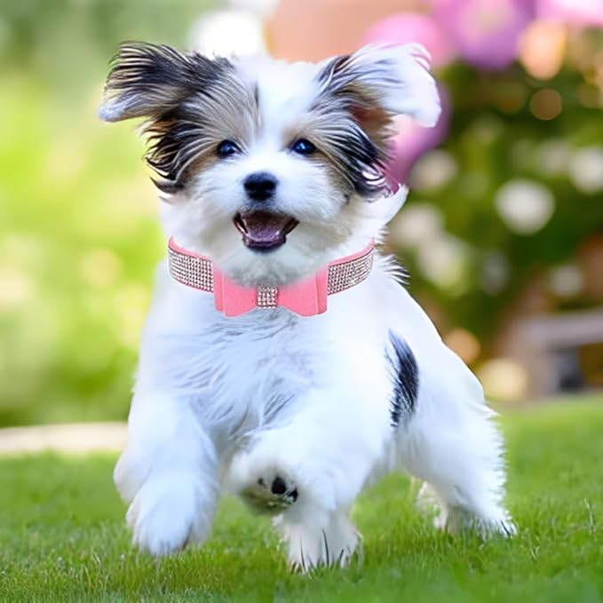 Serijoars Small Dog Collar with Rhinestone Crystal Diamond Colorful Bling Girl Puppy Cat Collars (S, Pink1)
