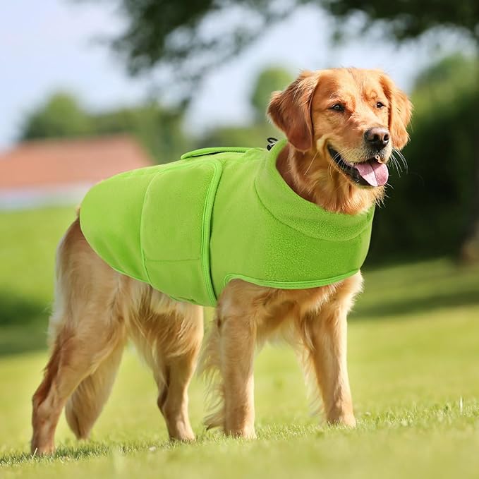 Queenmore Small Dog Sweaters, Soft Fleece Vest Pullover Pet Jacket with Leash Hole, Warm Winter Dog Clothes Cold Weather Doggy Dachshund Sweater for Small Dogs Cats Boy or Girl (Green, XS)