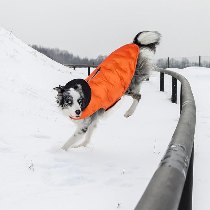 Nanaki Warm Dog Puffer Coat for Large Dogs-Lightweight Windproof Dog Coat with Hood, Water Resistant Pet Snowsuit for Cold Weather, Reflective Snowsuit, Adjustable Puffer Vest with Leash Hole, Orange