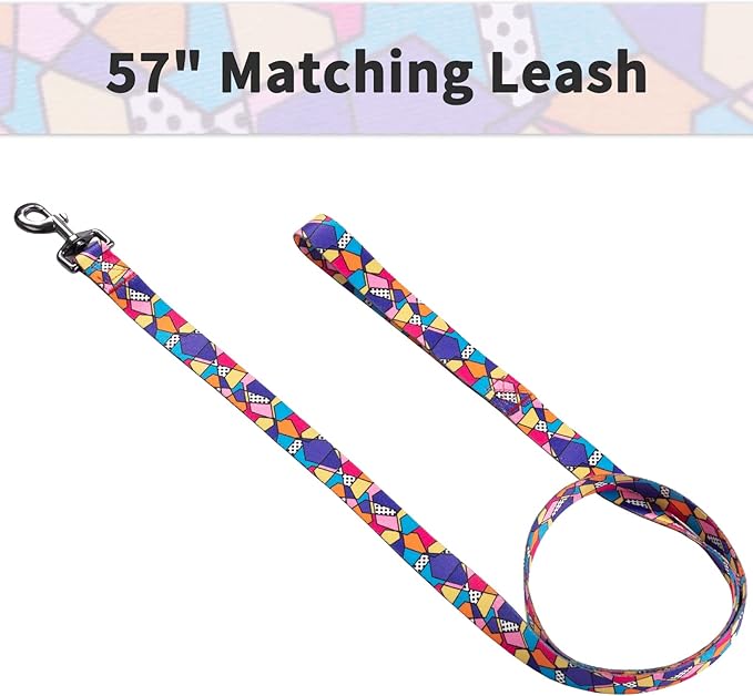Ihoming Dog Collar and Leash Set for Daily Outdoor Walking Running Training, Geometric Design for Medium Boys Girls Dogs Cats Pets, M-Up to 45LBS