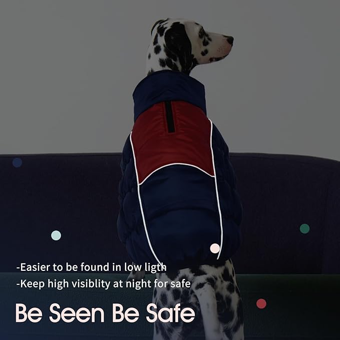 IECOii Medium Dog Coat - Waterproof, Fleece Lined, Reflective, Warm Winter Jacket