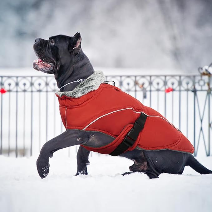 DENTRUN Large Dog Winter Coat - Windproof Reflective Warm Coat, Adjustable Neck & Snap Closure, Water Repellent Thick Fleece Vest, Fleece Lined for for Golden Retriever, Red, XL