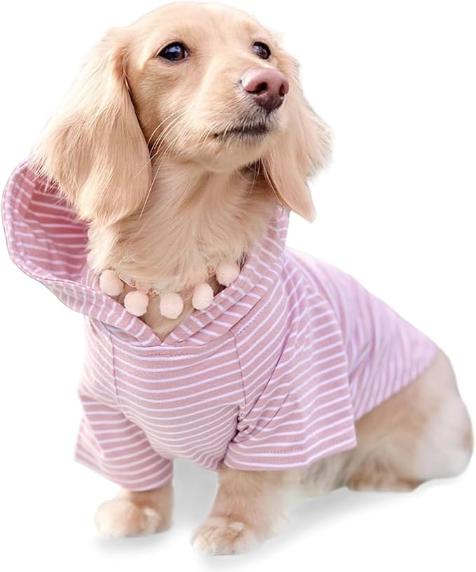 DJANGO Dog Hoodie – Warm, Lightweight, Soft & Stretchy Dog Sweater with Hood, Harness Hole & Elastic Waistband – Cozy Sweatshirt for Small Dogs up to 25 lbs, Dachshunds & Puppies – Blush Pink, Medium