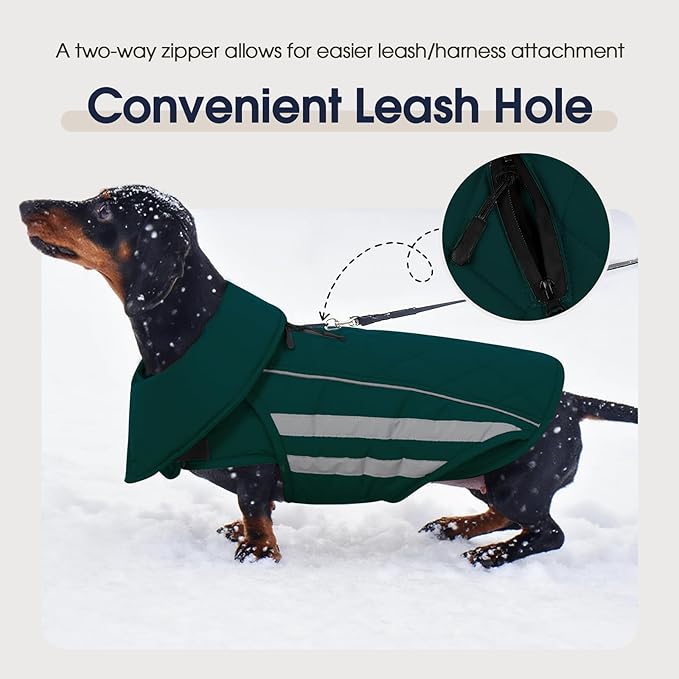 IECOii Dog Jacket - Reflective & Waterproof & Adjustable Winter Warm Coats with Fleece Lined, Snow & Rain Cold Weather for German & Shepherd, Green, Sizes 2XL