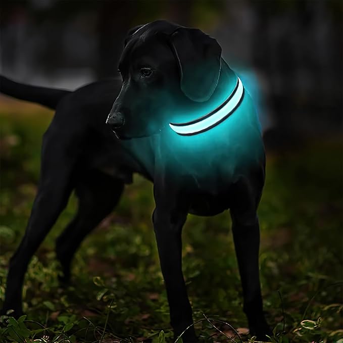 MASBRILL Light Up Dog Collars - LED Dog Collar Rechargeable Lighted Dog Collars Resistant-Water Night Walking Glow in The Dark Collars