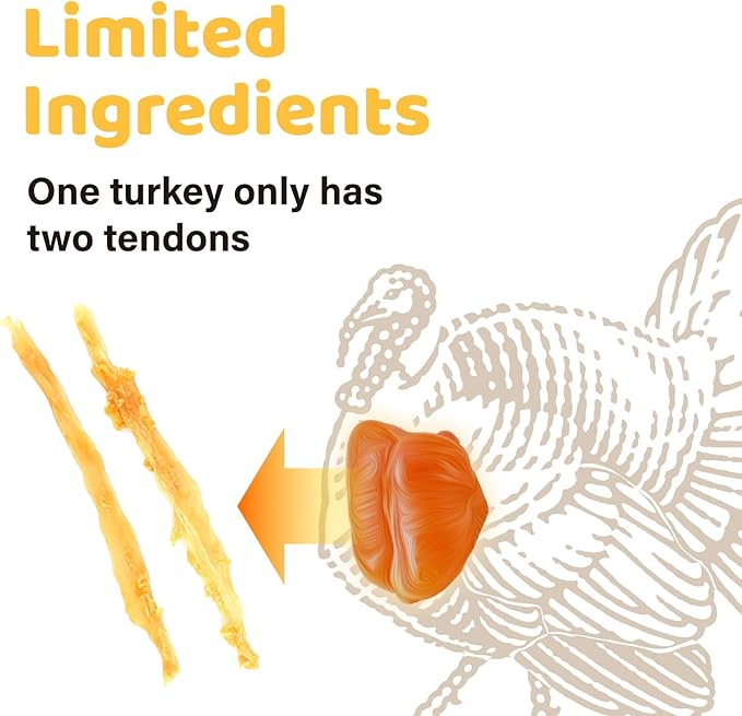 iPaw Turkey Tendons for Dogs, 100% Turkey and US Sourced Raw Material, Hypoallergenic, All Natural Human Grade Puppy Chew, Rawhide Alternative Dog Treats, 1 Unit/Pack Strip (Large)