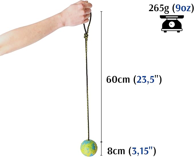 Dingo Fetch Ball Made of Hard Rubber with a String, Large, for Aport Game Dog Training 17298