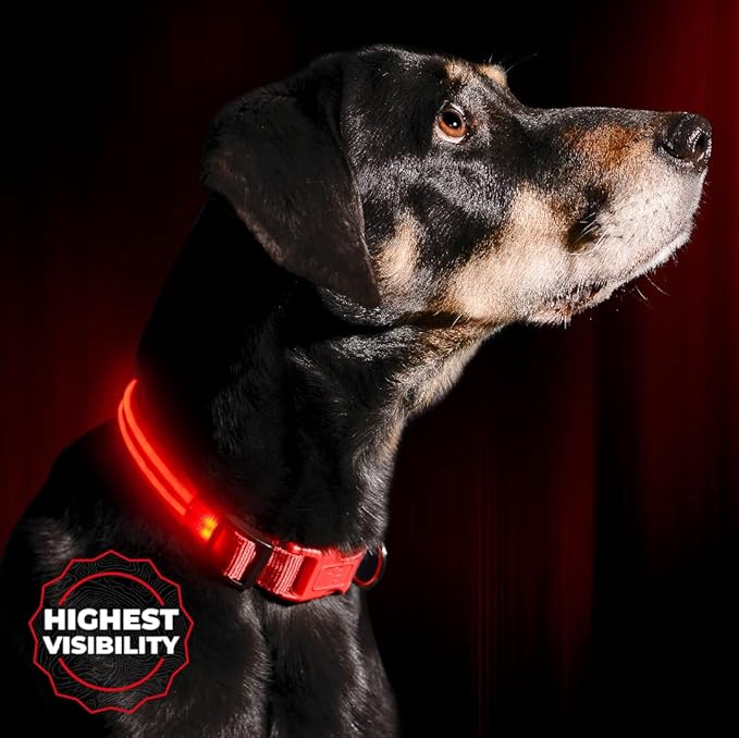 Illumiseen LED Dog Collar USB Rechargeable - Bright & High Visibility Lighted Glow Collar for Pet Night Walking - Weatherproof, in 6 Colors & 6 Sizes (Red XX-Small)