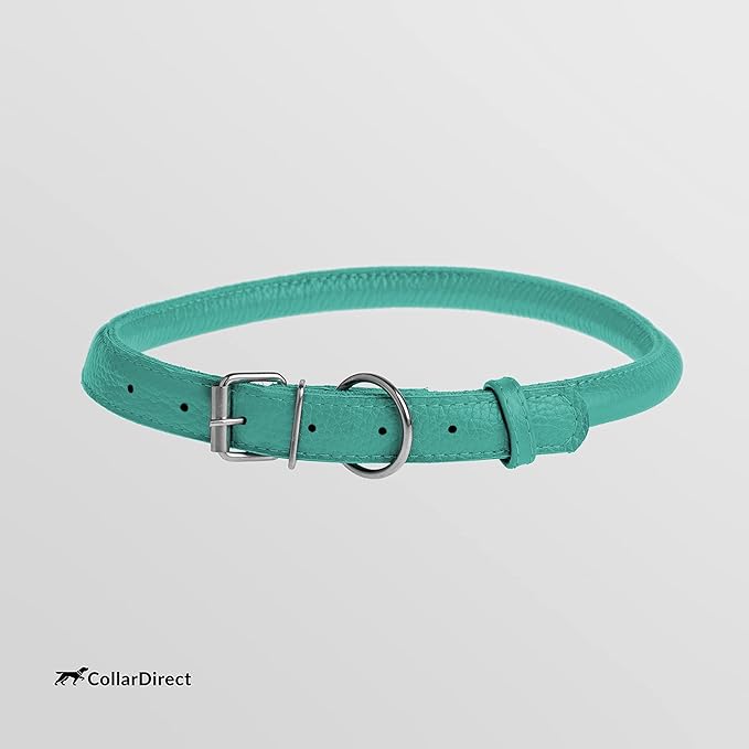 CollarDirect Rolled Leather Dog Collar, Soft Padded Round Puppy Collar, Handmade Genuine Leather Collar Dog Small Large Cat Collars 13 Colors (13-16 Inch, Mint Green Textured)