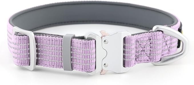 Plutus Pet Reflective Dog Collar with Aviation Aluminum Buckle, Neoprene Padded for Comfort, Lightweight, Heavy Duty Nylon Collar for Puppy Small Medium Large Dogs (Lilac Purple, L)