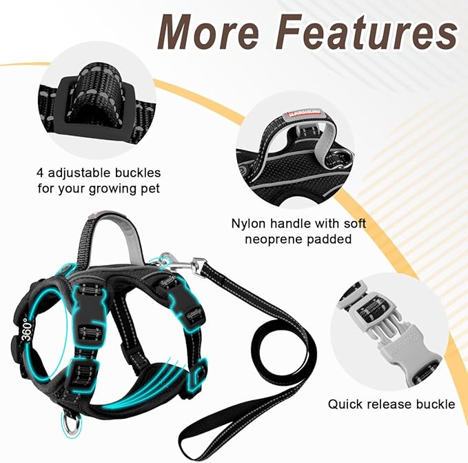 Cat Harness and Leash Set for Walking Escape Proof for Small Large cat Kitten Harness with ID tag Pocket (Black,XS)