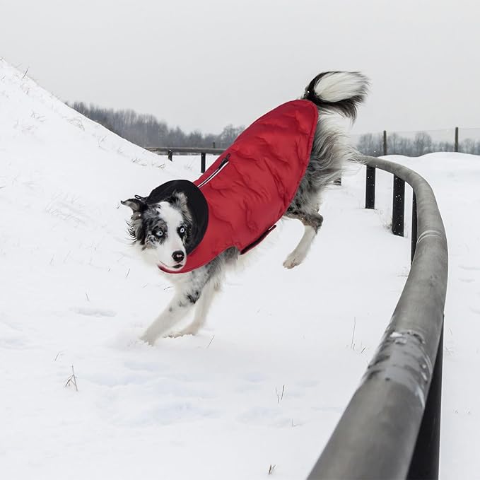 Nanaki Lightweight Dog Down Jacket with Leash Hole-Large Winter Dog Coat Reflective Stripes, Warm Snow Coat with Hood, Windproof Snowsuit for Cold Weather, Puffer Jacket for Outdoor Activities, Red