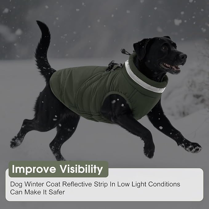 SAWMONG Dog Coat, Warm Dog Winter Coat, Waterproof Fleece Jacket, Cold Weather Dogs Jacket (XS,Green)