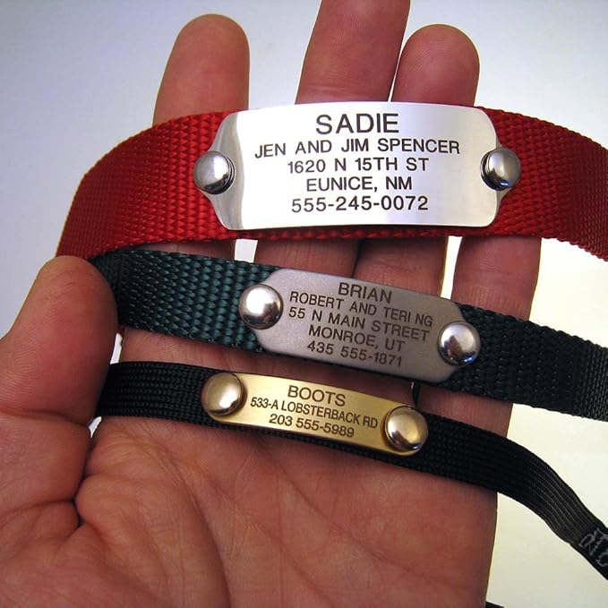 LuckyPet Rivet-On Pet ID Tag - Personalized, Silent and Customized - Suitable for Cats and Dogs - Heavy-Duty Pet Identification - Engraved Tags - Large, Matte Finish Stainless Steel