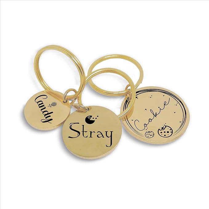 Lifetime Custom Engraved Dog ID Tag – Stainless Steel Pet Tag for Dogs & Cats, Double-Sided Personalization | Fits Collar, Harness, Leash (Golden Round)