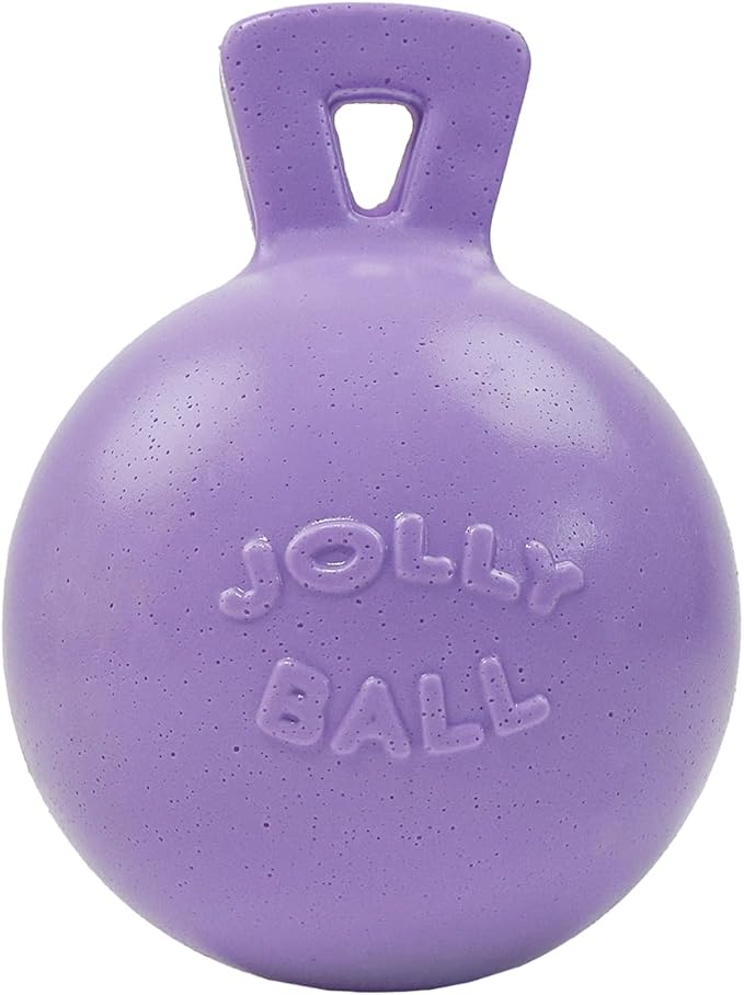 Jolly Pets Tug-n-Toss Heavy Duty Dog Toy Ball with Handle, 6 Inches/Medium, Light Purple