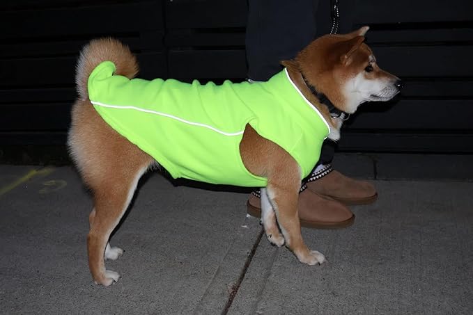 JACKO & CO - Fleece Vest Dog Sweater with Leash Ring - Soft, Warm & Lightweight Pullover Coat for Small & Medium Dogs, Puppies & Cats - Cozy Fall/Winter/Spring Pet Jacket (Lime Green, Medium 6-10lbs)