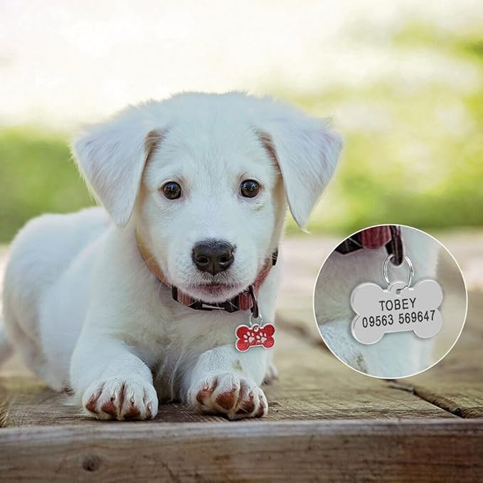 Personalized Dog/Cat Cute Paw Pet ID Tag for Pet Collar or Key Chain - cat Name tag, Personalized cat id tag, Kitten Name tag, Kitten id tag (Bone-Shaped-Small: Purple)