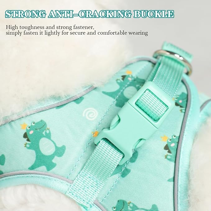 Step in Dog Harness and Leash Set, Flower Adjustable Easy Walk Puppy Harnesses, Soft Mesh No Pull Pet Vest Harness for Small Medium Dogs(Beige, M)
