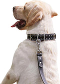 Studded Leather Dog Collar – Durable Adjustable Collar, Black Medium