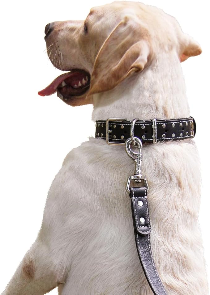 Studded Leather Dog Collar – Durable Adjustable Collar, Black Medium