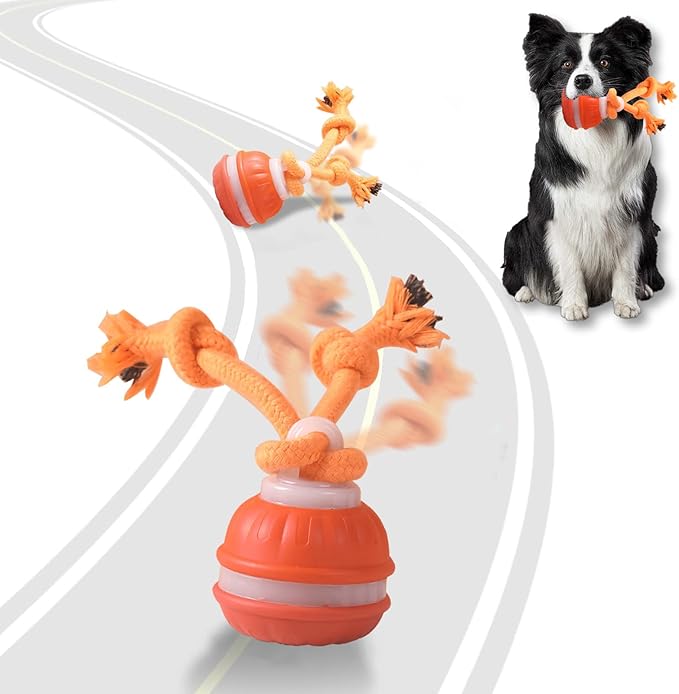 Interactive Dog Toys, Random Path Electric Automatic Moving and Rolling Dogs (Orange)