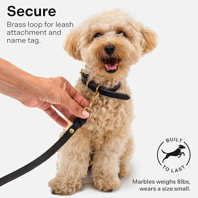 Classic Genuine Leather Dog Collar | Dog Collars for Medium Dogs, Small Dogs, Large Dogs & Extra Large Dog | Wide Dog Collar | Heavy Duty Collar (Black, Extra Large)