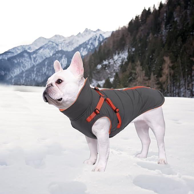 Geyecete Winter Warm Coat Waterproof Dog Winter Jacket with Harness Traction Belt,Windproof Pet Outdoor Jacket Dog Autumn-Gray-M