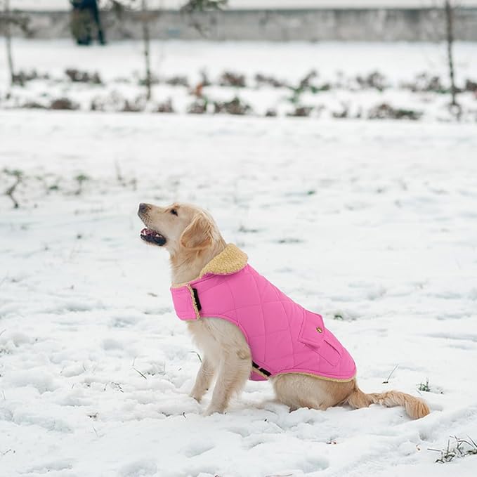 Winter Coat for Medium Dogs, Puppy Plaid Jacket, Cotton Coat for Cold Weather, Windproof Warm Dog Garments, Pet Thickened Outfits Indoor Outdoor, Pink M