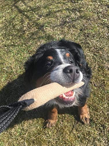 Dingo Gear, Natural Jute tug Toy for Dog Training Agility tug of war, Bumper Toy Dog bite, 2 Handles 16" S00148