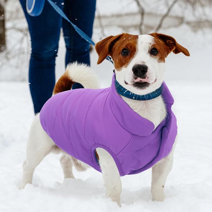 ASENKU Dog Winter Coat - Waterproof Windproof Dog Jacket, Warm Snowproof Doggie Puffer Vest for Cold Weather, Lightweight Snow Coats for Small Medium Large Dogs (Purple, S)