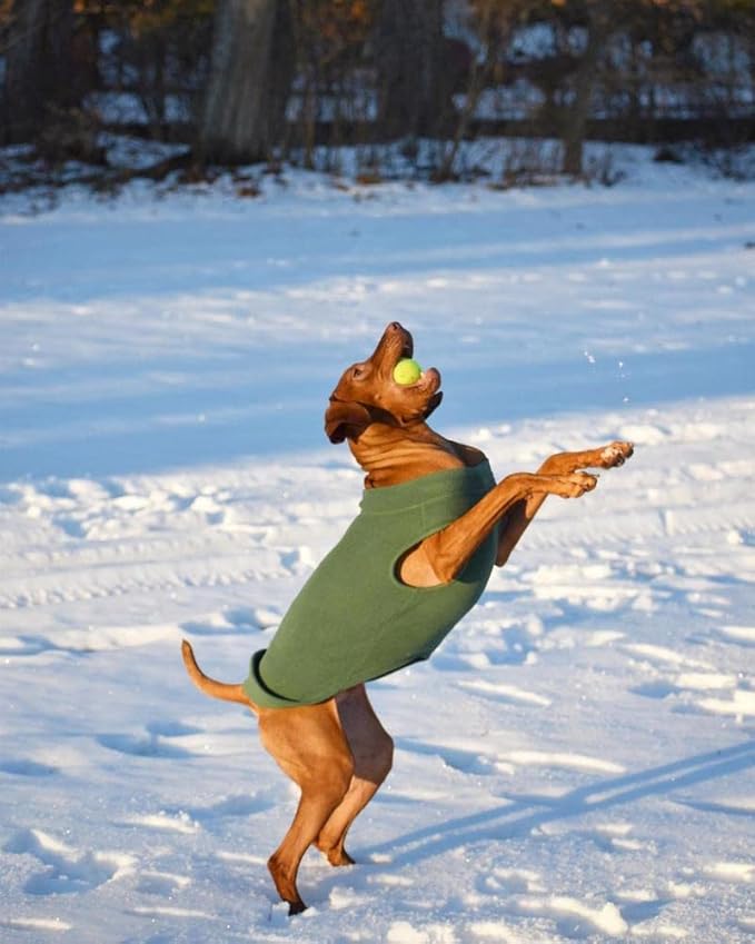 Gooby - Stretch Fleece Vest, Pullover Fleece Vest Jacket Sweater for Dogs, Indigo Blue, 3X-Large Length (20.5")
