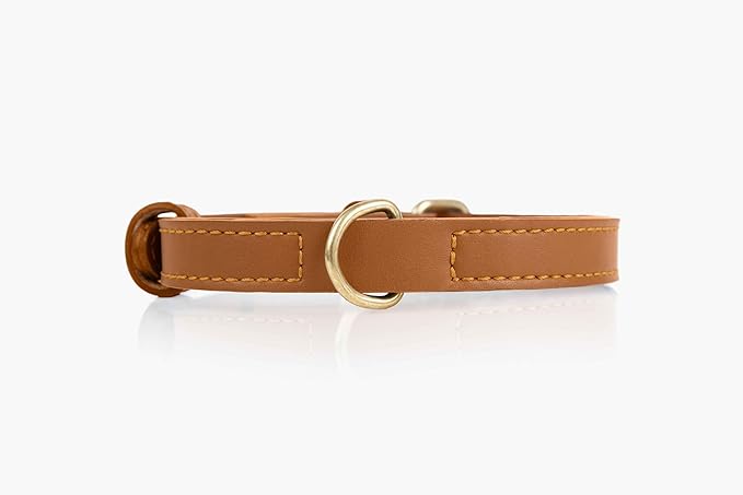 Two Tails Pet Company Cactus Vegan Leather Dog Collar, Adjustable Pet Collar with Gold Hardware and D Rings for Leash & ID Tag for Dogs and Puppies, Easy to Clean & Eco Friendly, Caramel, Size Medium
